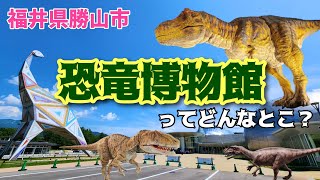 【恐竜博物館】現役ツアコン目線で歩く！福井県立恐竜博物館 [upl. by Tertia911]