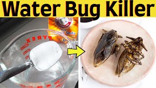 How to get rid of water bug out of your house naturally and fast [upl. by Stormi]