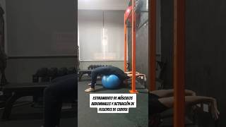 Estiramiento abdominal y activación de flexores de cadera en fitball regresión al back bridge [upl. by Enomas]