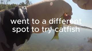 Millerton Lake Bluegill and Catfish fishing [upl. by Niro]