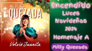 NAVIDAD 2024 HOMENAJE A MILLY QUEZADA ENCENDIDO LUCES NAVIDEÑAS [upl. by Agripina]