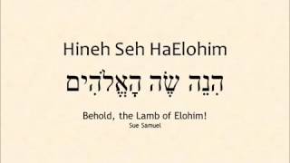 Sue Samuel  Hineh Seh haElohim [upl. by Herv]