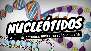 NUCLEÓTIDOS del ADN y ARN⚡¿que son Fácil y sencillo en 3 minutos [upl. by Devehcoy]