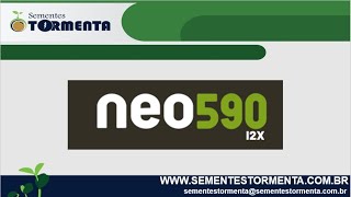 Sementes Tormenta  NEO 590 I2X [upl. by Heyes]