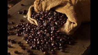 Unveiling The Best Coffee Beans From Farm to Cup [upl. by Silas]