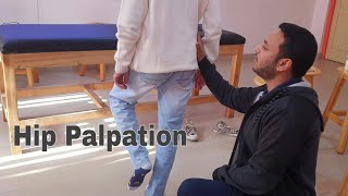 Hip Joint Palpation Bones and Soft Tissue [upl. by Sello]