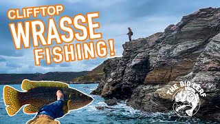 Cliff Edge WRASSE fishing with Creature Baits [upl. by Nivrae]