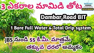 3 Acres Mango Garden For Sale  Dambar Road BIT agriculture agriculturelands mangogardenforsale [upl. by Aek834]