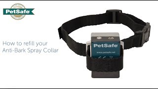 How to Refill the Anti Bark Spray Dog Collar [upl. by Goetz]