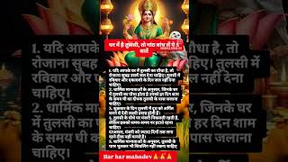 shorts tulsivivah devuthanekadashi shortvideo shortfeed [upl. by Hollenbeck]