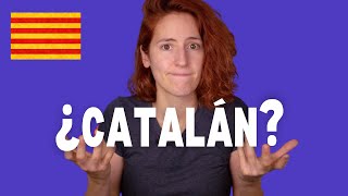 ¿Por qué NO GUSTA el CATALÁN ¿Por qué HAY tiene una Y [upl. by Ateuqahs]