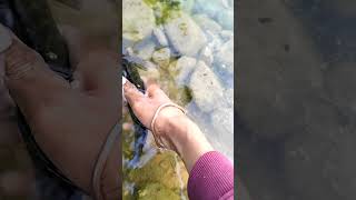 sawal machali ko Pani me chodte hue Part20 🤠😎 fishing [upl. by Yecaj]