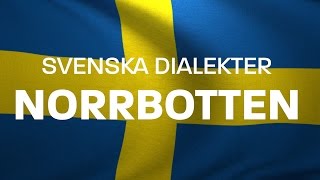 Svenska Dialekter – Norrbottniska Norrländska Voice To Me [upl. by Eirruc200]