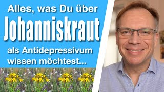 Johanniskraut Alles was Du über das pflanzliche Antidepressivum wissen möchtest [upl. by Ias]