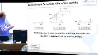 The discovery of new orallyactive inhibitors of ß13glucan synthesis as antifungal agents [upl. by Arleyne100]