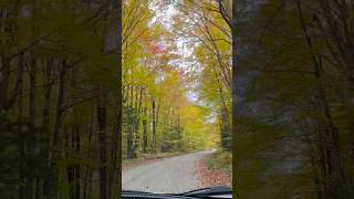 Thanksgiving day in Canada weekend northernontario fallcolors [upl. by Ynohtnaleahcim753]