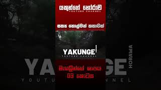 මැගලින්ගේ ශාපය 03  sinhala holman katha  සත්‍ය හොල්මන් කතාවක්  ghost story [upl. by Reeva]