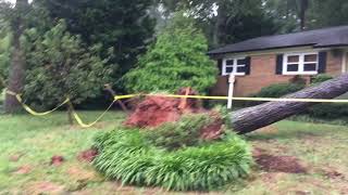 Tree falls through home on Ferncliff Road [upl. by Wicks]