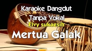 Karaoke Elvy Sukaesih Mertua Galak [upl. by Brinkema781]