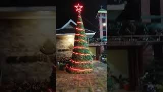 Pohon natal setinggi 6 meter terbuat dari botol mineral pohonnatal diywoodworkingindonesia [upl. by Enomor826]