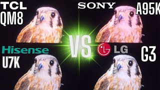 TCL QM8 VS LG G3 VS SONY A95K VS HISENSE U7K [upl. by Obelia654]