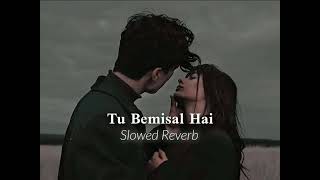 Tu Bemisal Hai Slowed Reverb [upl. by Garry934]