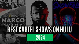 Best Drug Dealer TV Shows on Hulu  Best Cartel Shows on Hulu [upl. by Wing]