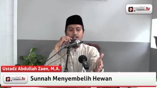 Panduan Qurban Sunnah Menyembelih Hewan Video  Ustadz Abdullah Zaen MA [upl. by Ociram307]