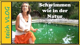 Warum ein Schwimmteich die beste Wahl ist [upl. by Anhsirk]