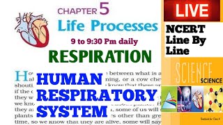 HUMAN RESPIRATORY SYSTEM NCERT LINE BY LINE  lifeprocesses class10 [upl. by Phare221]