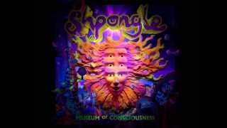 Shpongle  Museum of Consciousness Full album [upl. by Nottirb]