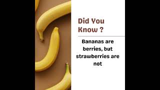 🍌🍓 The Surprising Science of Fruits [upl. by Jemmie288]