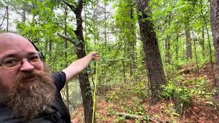 Can Cannon tree branch removal [upl. by Riesman]