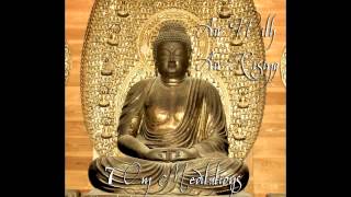 Mantra Meditation Om Sixth Chakra Anja Zen Tibetan Monk Chant Third Eye Pineal Gland [upl. by Gniliem570]