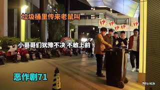 【恶作剧71】垃圾桶里传来奇怪动物的声音 妹子们被吓得尖叫Strange animal noises came from the trash can [upl. by Idaline647]