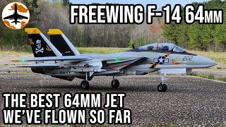 RC Jet PERFECTION  Freewing F14A Tomcat Twin 64mm [upl. by Isidoro]