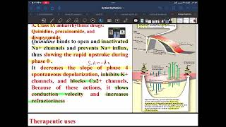 Antiarrhythmics drug [upl. by Atiuqahs]