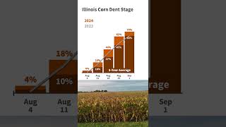 Illinois Crop Progress and Condition Report for Week Ending September 1 2024 usda [upl. by Yanrahs]