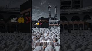 How to pray in Islam step by step  Muslim prayer Fajr  20 second prayer [upl. by Emalia741]