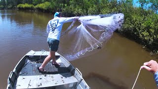 Burnett River Prawning Catch And Cook [upl. by Laeria]