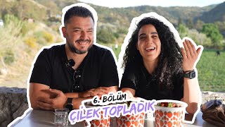 6 BÖLÜM ÇİLEK TOPLADIK [upl. by Ahseuqram]