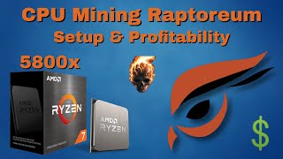 Raptoreum Mining on Ryzen 5800x  Setup Hashrate amp Profitability Windows 10 [upl. by Ahearn]