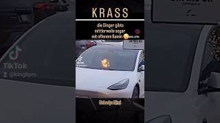 Neue Tesla Winteredition mit gemütlichem Kamin 😅 tesla fun meme kamin fire elonmusk reel [upl. by Aurita]