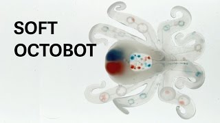 Octopod The first completely soft autonomous robot [upl. by Lleral461]