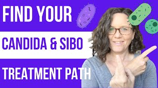 Candida and SIBO How to Navigate Treatment [upl. by Monahon]