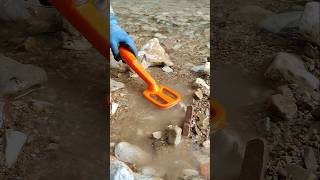 Treasure Hunt in the River with the Metal Detector shorts metaldetecting treasurehunting [upl. by Ymia210]