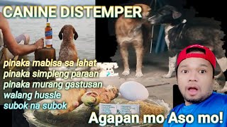 PAANO GAMUTIN CANINE DISTEMPER  ͡°ᴥ ͡° distemper [upl. by Anirahs]