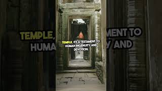 Angkor Wat a Marvel explore travel cambodia angkorwat asia architecture shorts [upl. by Aruam15]