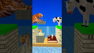 New Money vs Knowledge With Cartoon Cow vs Tiger What Do Choose Shorts Cartoon Viral [upl. by Puto]