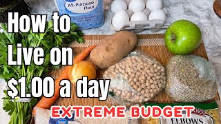 EATING FOR 1 A DAY in 2024  EXTREME BUDGET MEAL PLAN [upl. by Ocinemod]